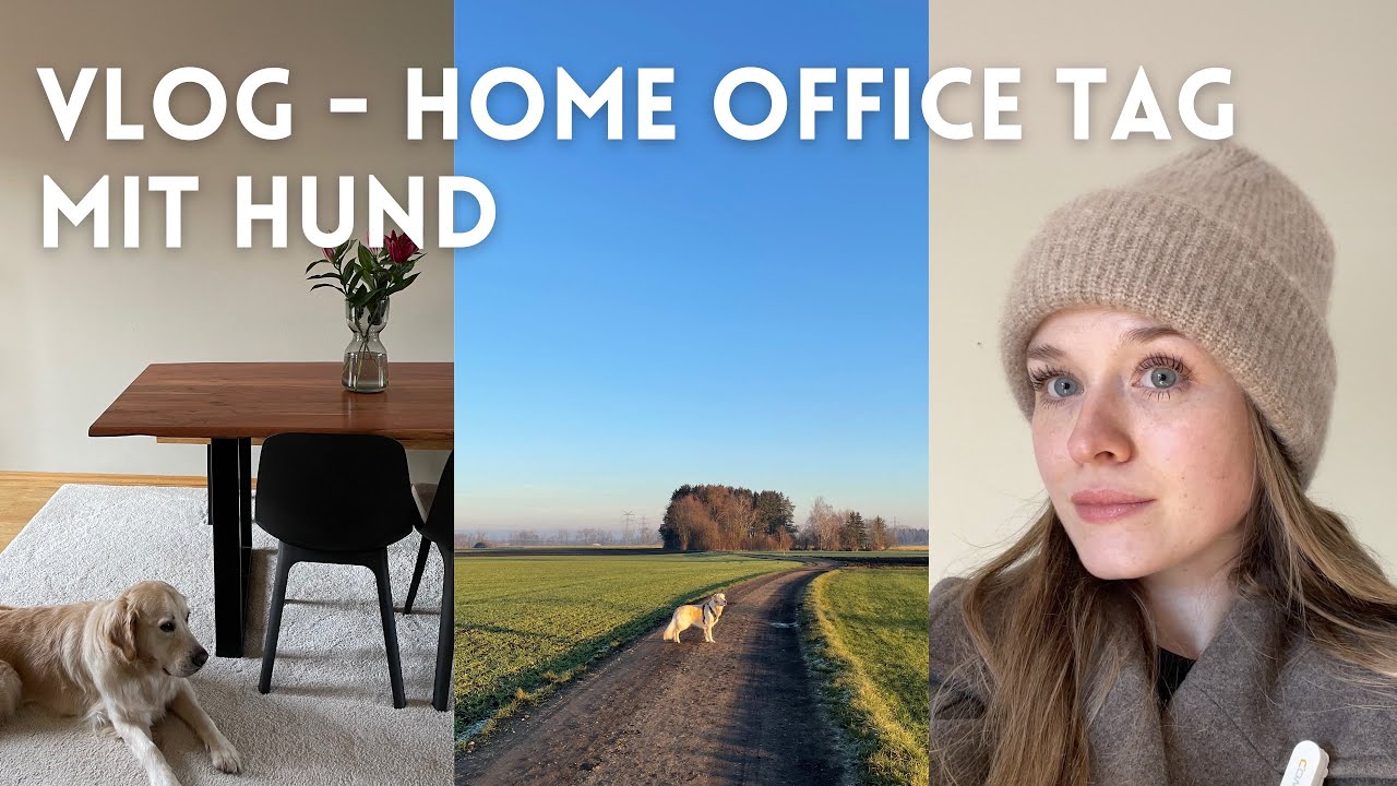 Vlog - Home Office Tag mit Hund