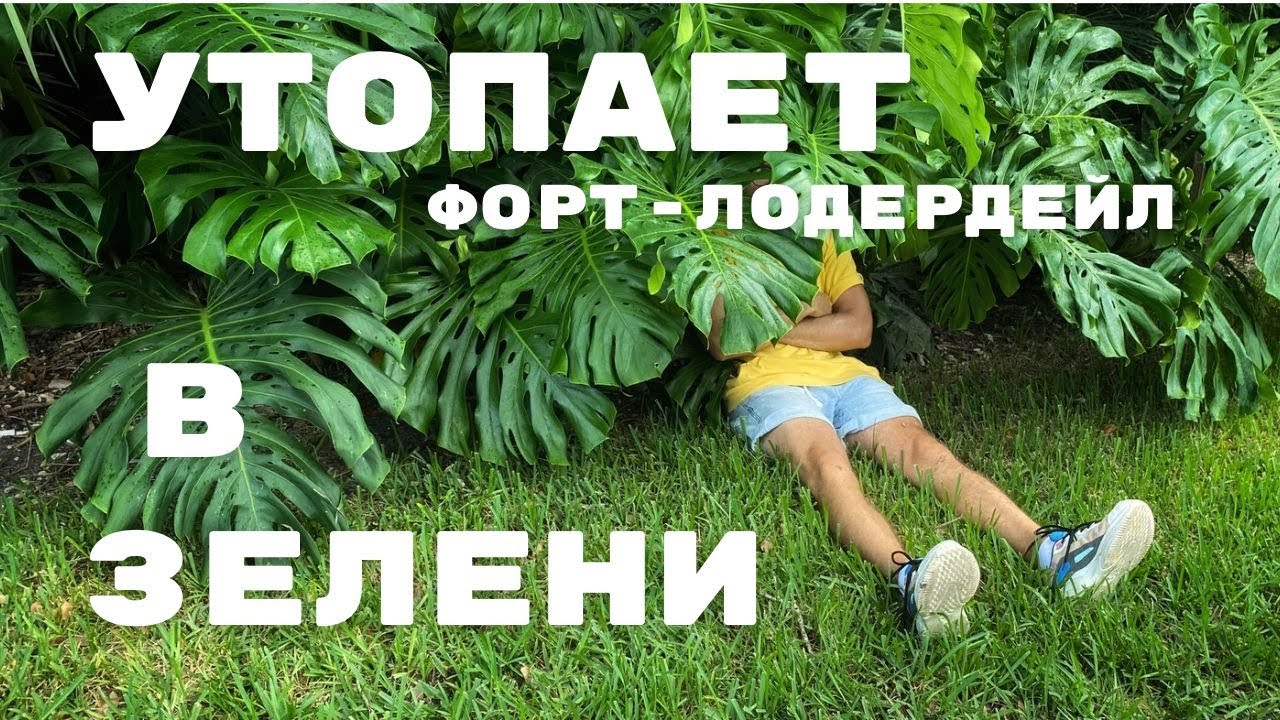 Растения ФЛОРИДЫ на примере города ФОРТ-ЛОДЕРДЕЙЛА