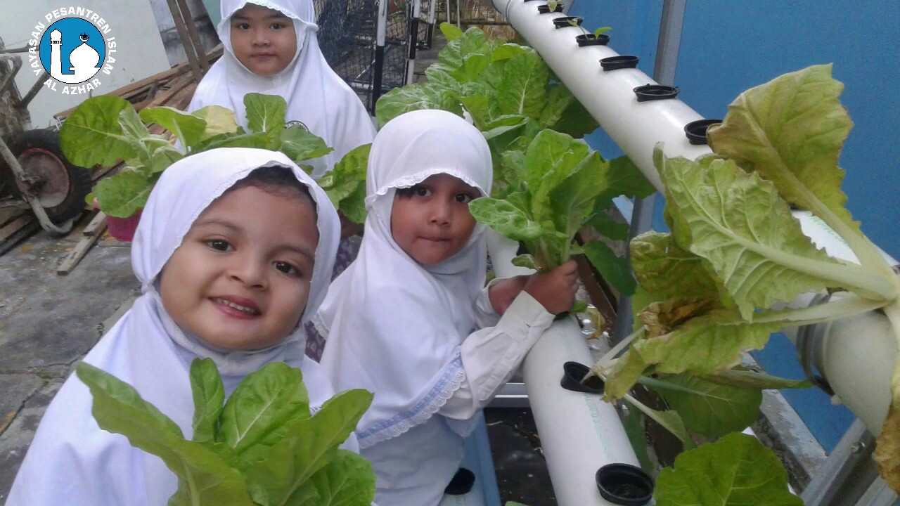 Profil TK Islam Al Azhar 21 Pontianak