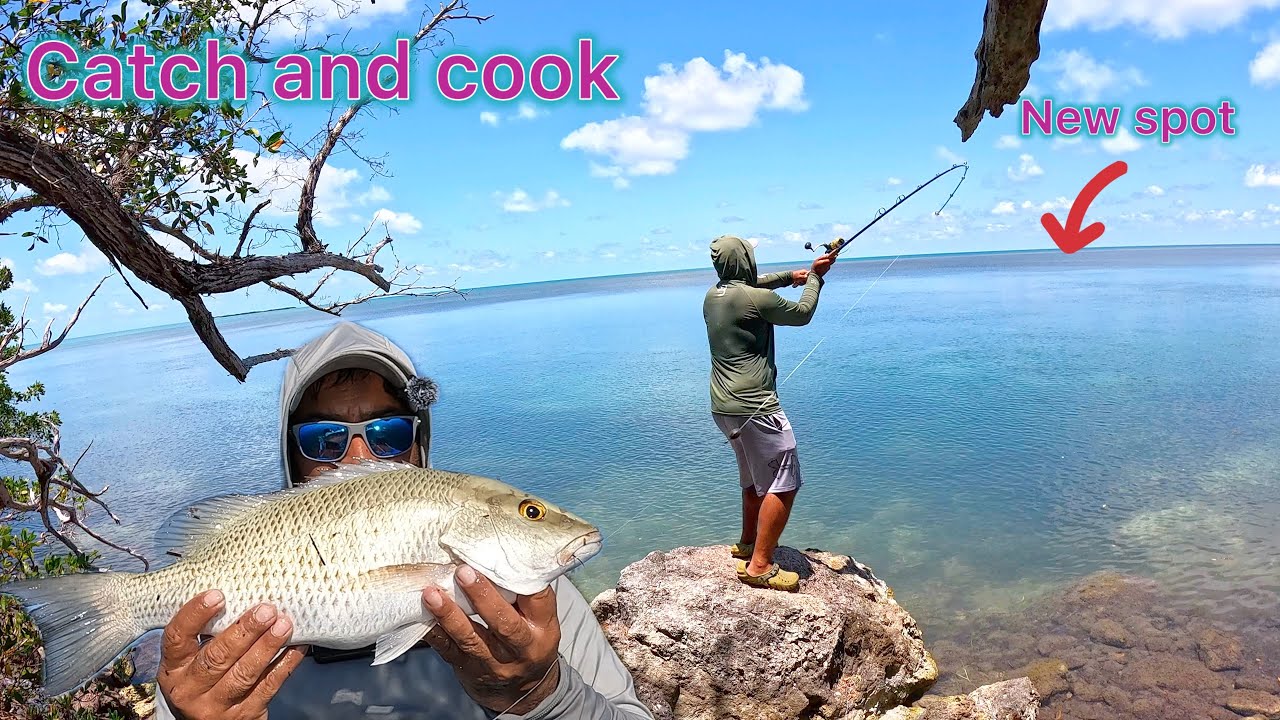 Mangrove Snapper catch and cook | Florida Keys flats fishing from shore.