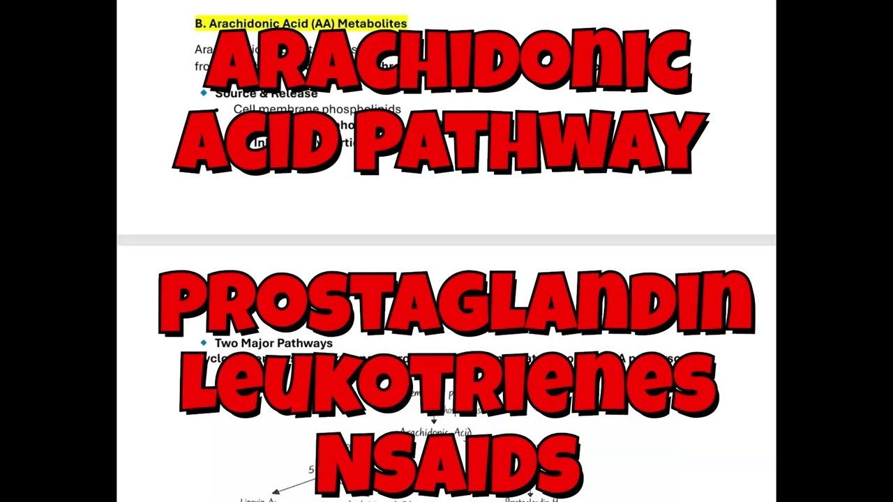 Arachidonic Acid Metabolites Explained | Prostaglandins, Leukotrienes, NSAIDs& Clinical Correlations