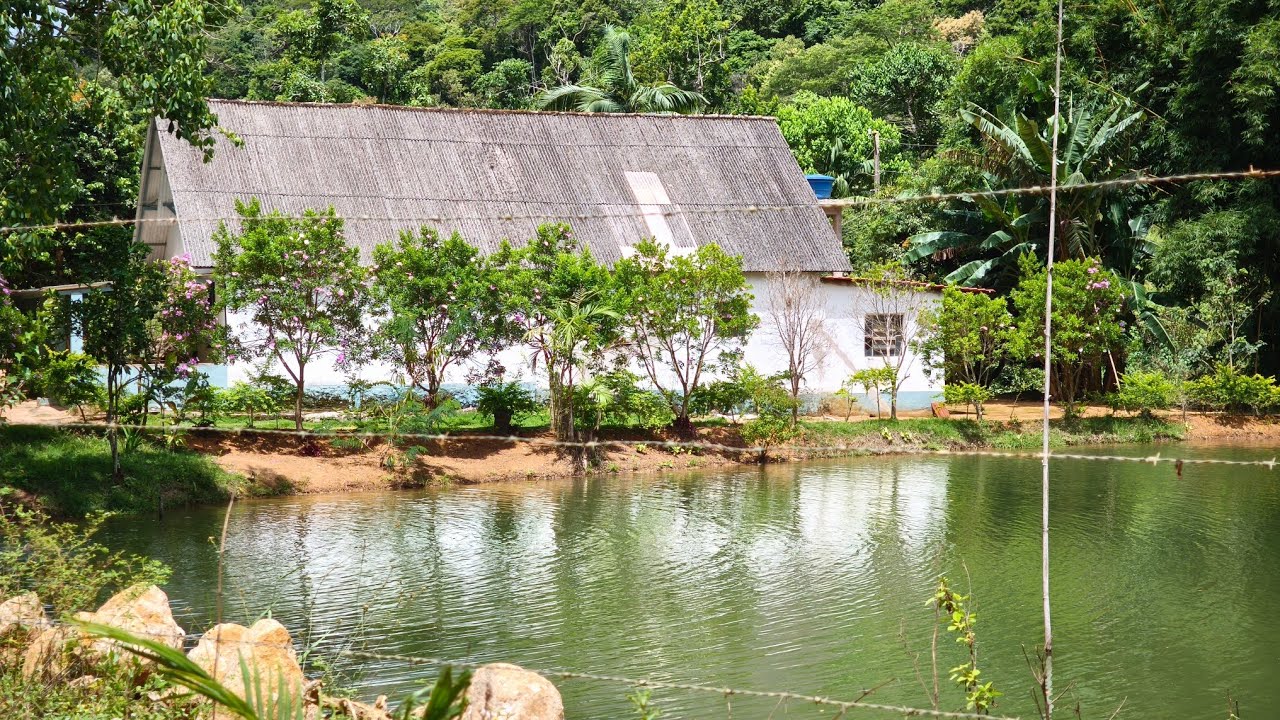 Sitio a venda no espírito santo ES, 27997572086 #vendas #sitio #roça 