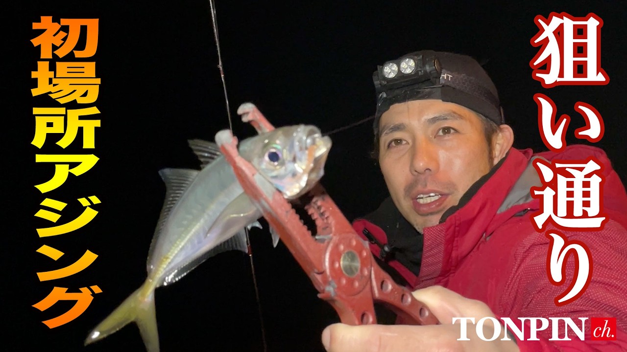 【狙い通り！初場所で釣果を出せ！アジング立ち回り術!!】SOTvol,341