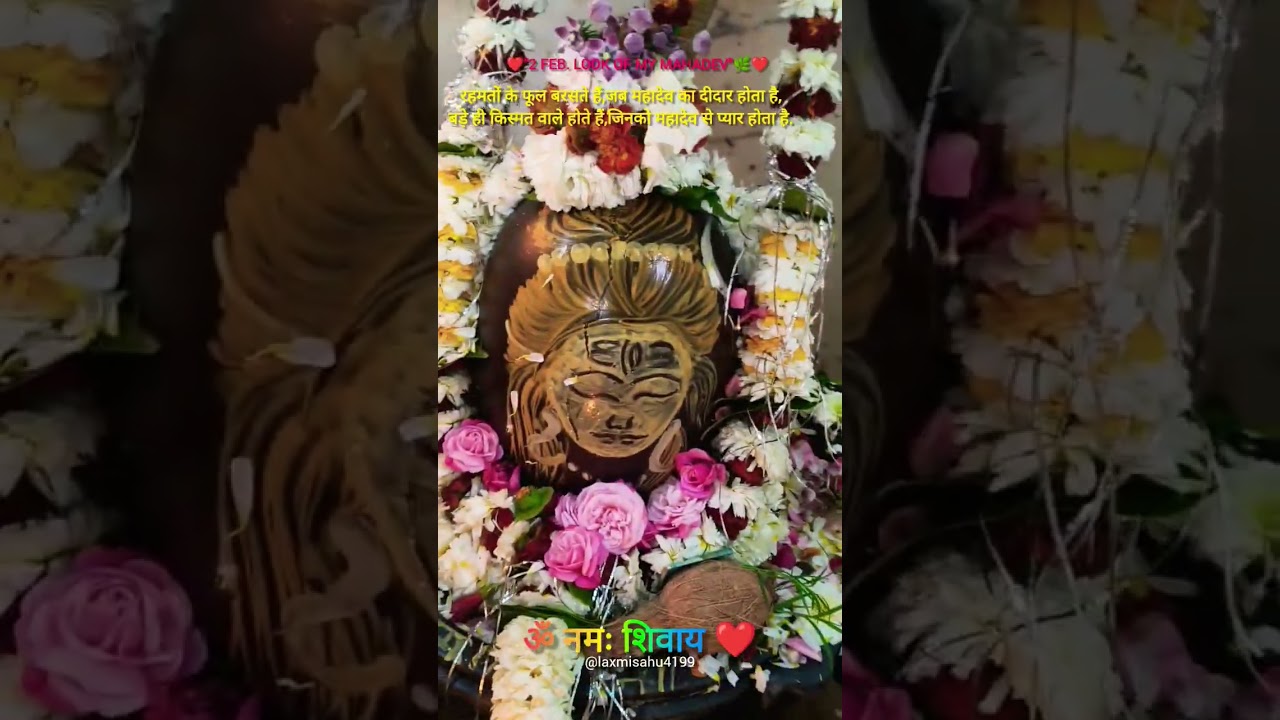 "2 Feb. Look Of My Mahadev"🌿❤️