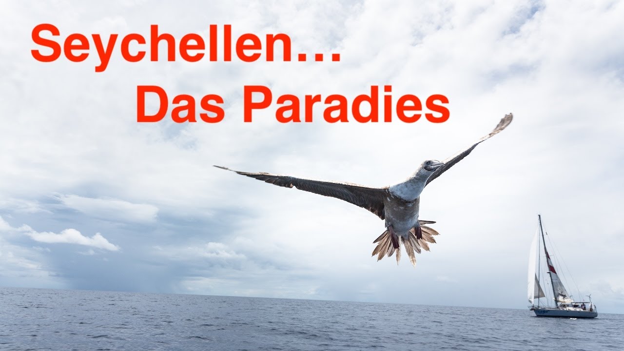 Südwärts... vom Oman bis zu den Seychellen