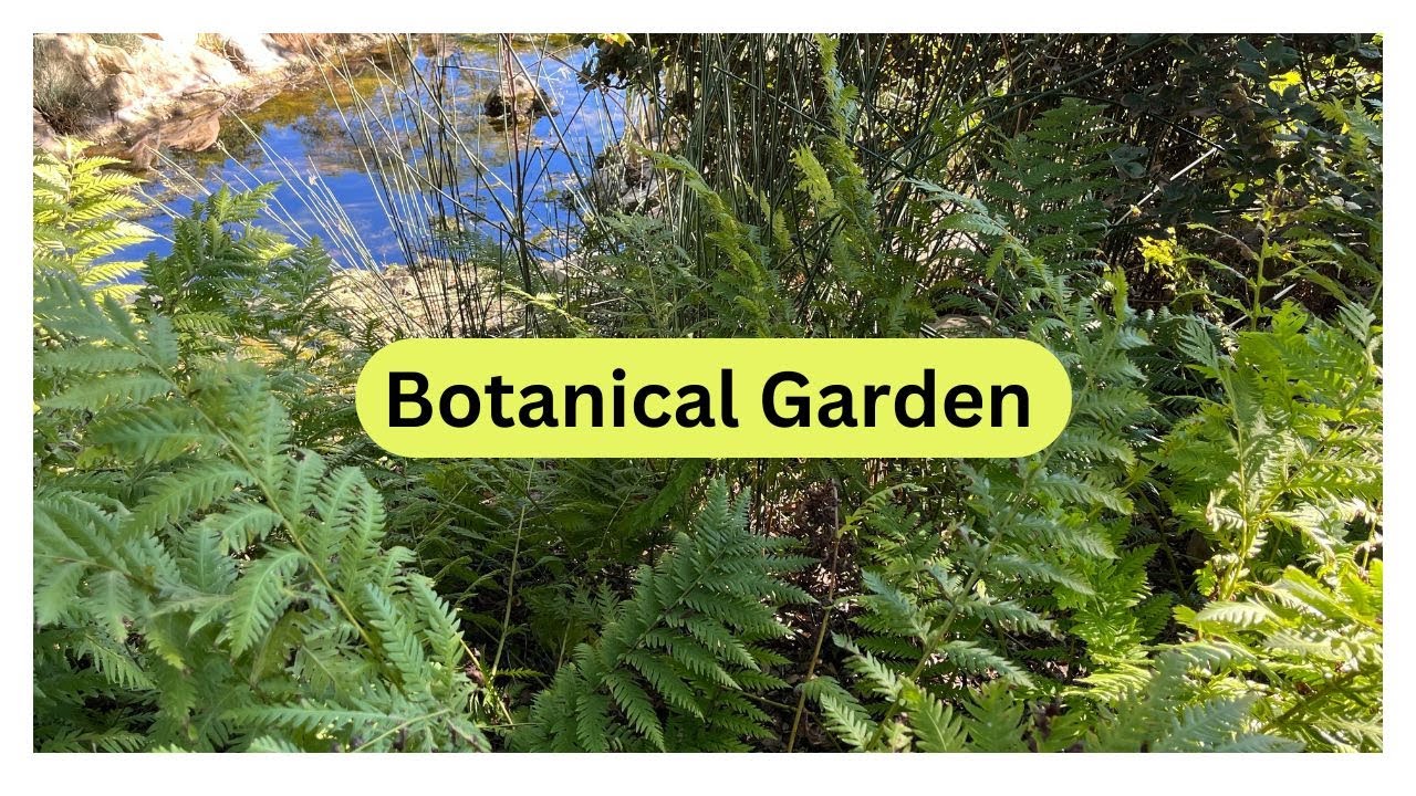 Garden Tour of Santa Barbara Botanic Garden * Native Plants