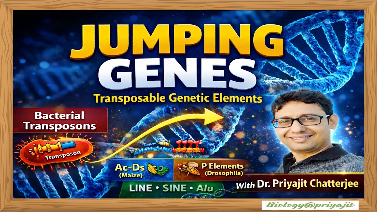 Transposable Genetic Elements: Bacterial Transposons, Ac-Ds in Maize, P Elements, LINE, SINE & Alu.
