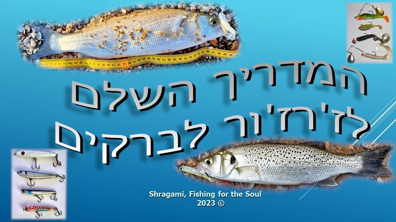 המדריך השלם שלי לדיג לברקים בז'רז'ור 🐟 איך לתפוס, היכן לדוג וכל מה שרציתם לדעת 🎣