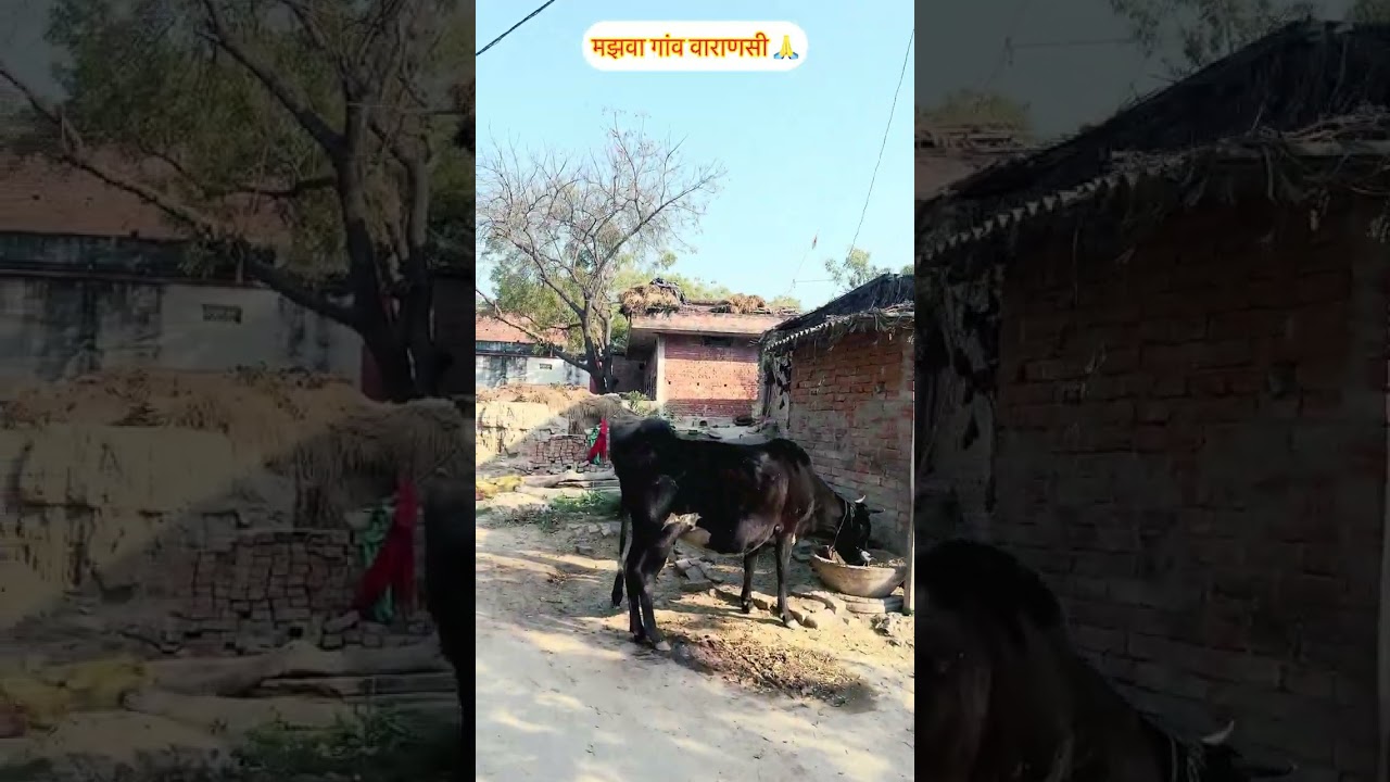 मझवा गाँव वाराणसी 