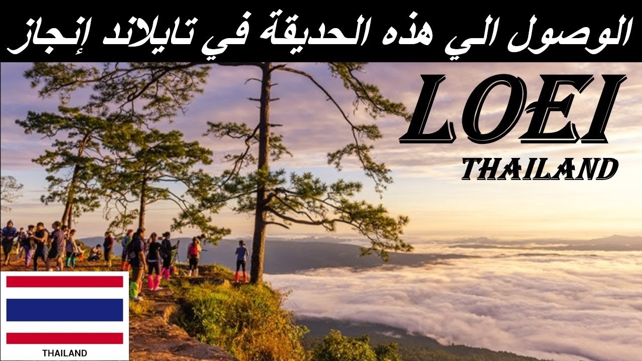 عشاق التخييم في تايلاند