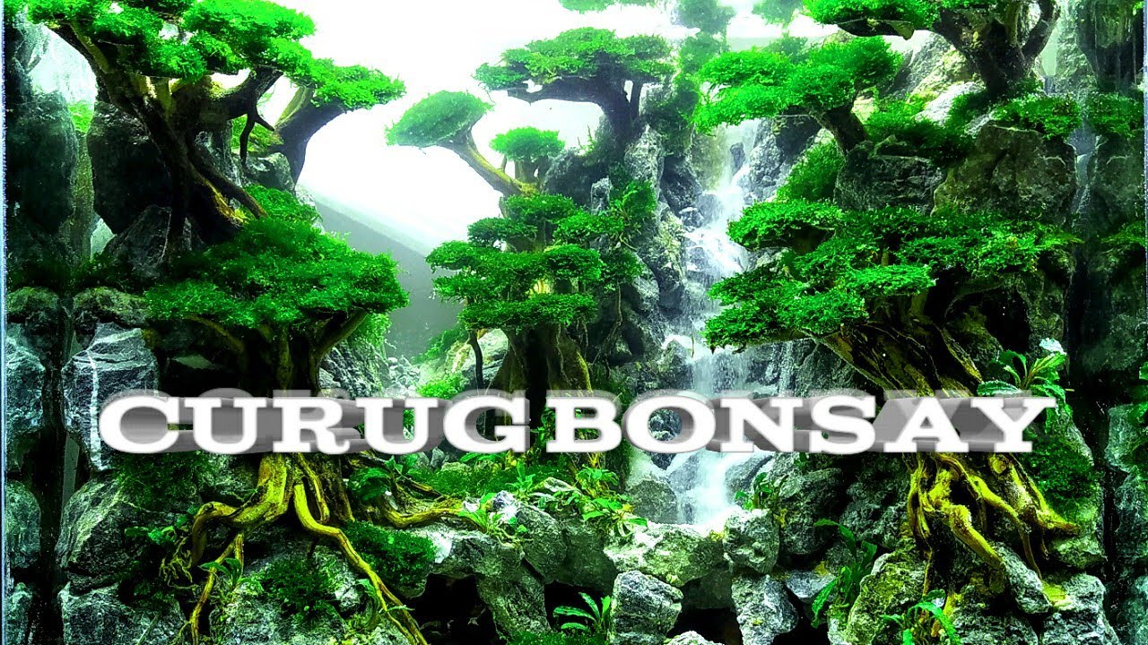 #18 Aquascape Air Terjun (Curug Siander) #curug #aquascape