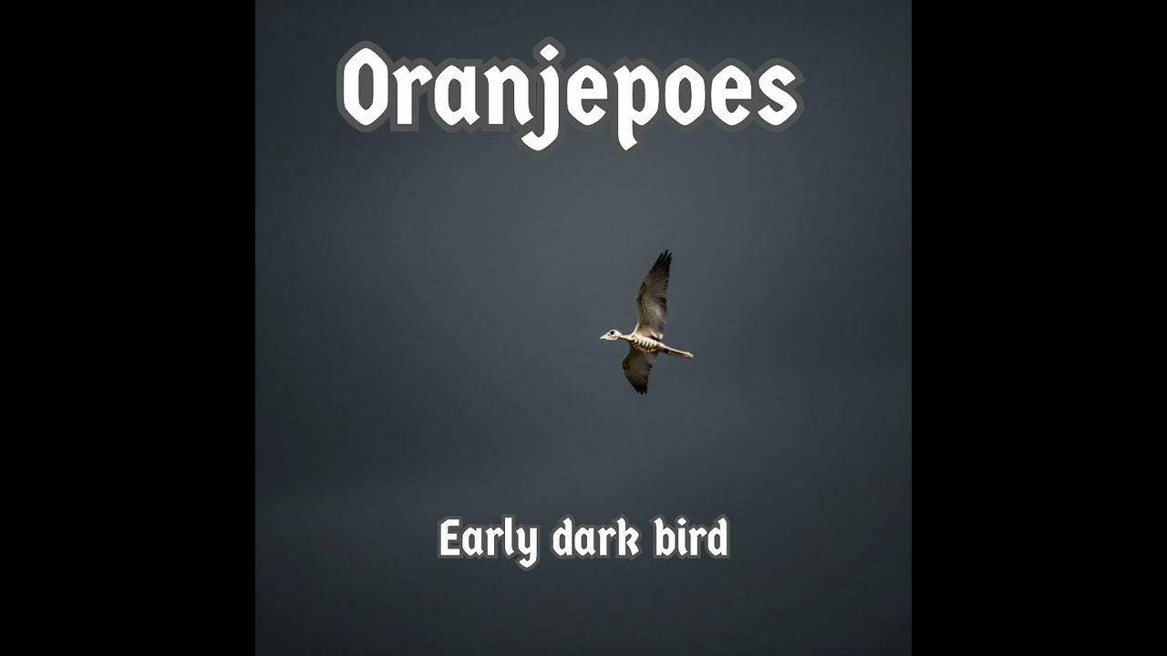 Oranjepoes - Early dark bird