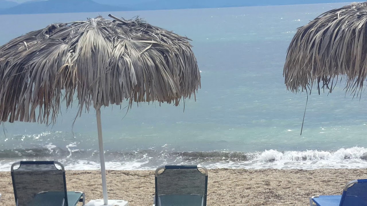 Potamaki beach hotel 3* Корфу. Рецепшен. Территория.  Номера. Пляж(3)