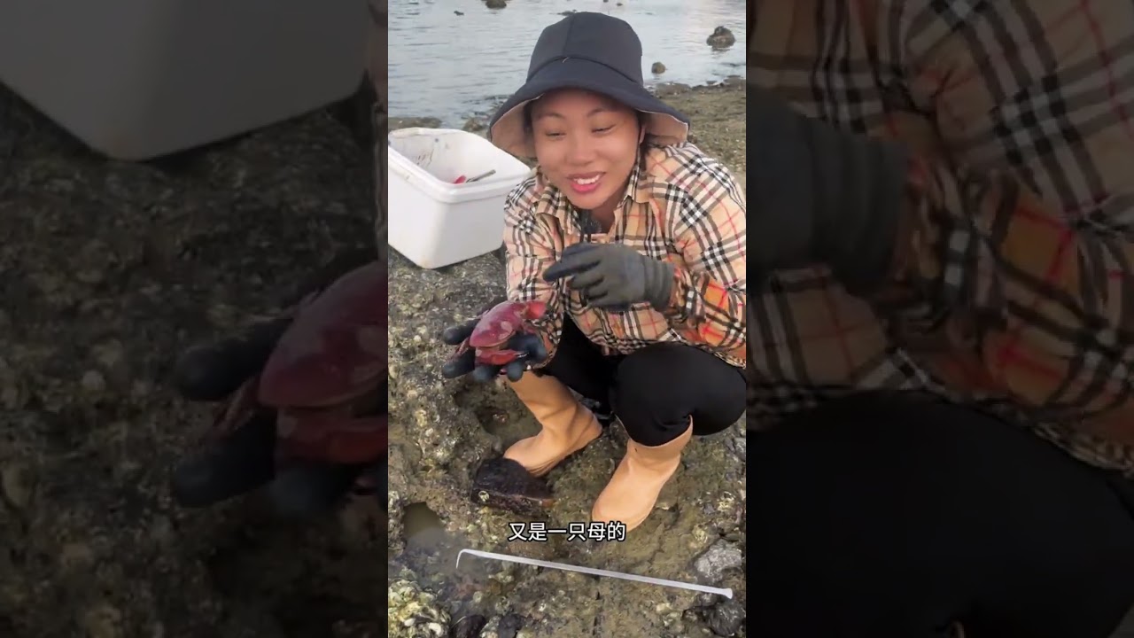 She is satisfying to digs crabs in the stone
