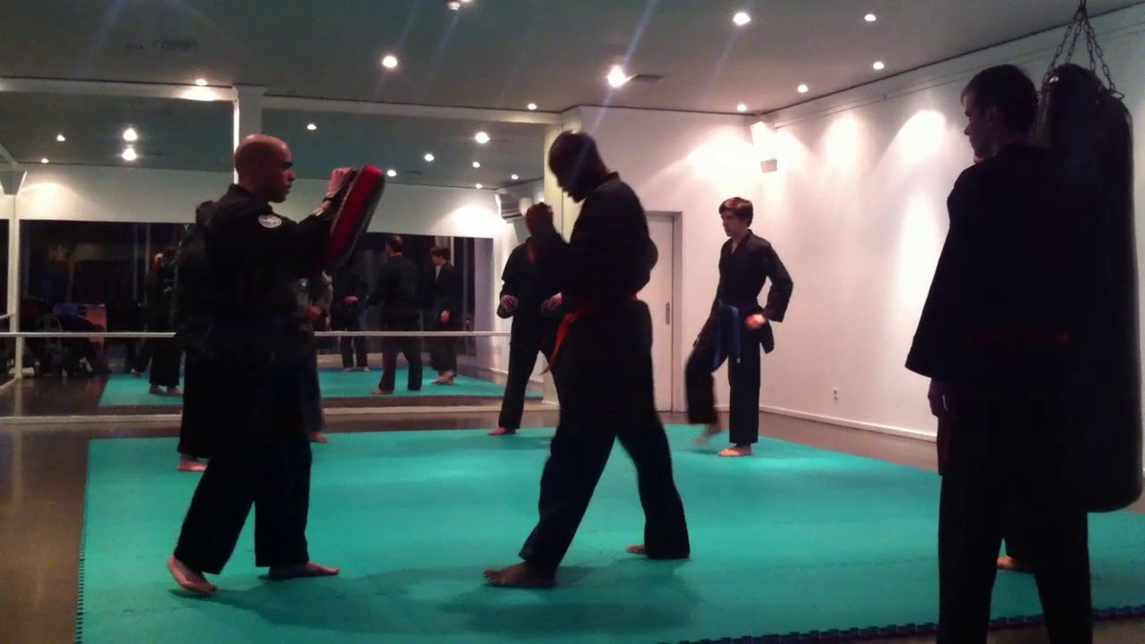 American Kenpo - Ed.Fernandes