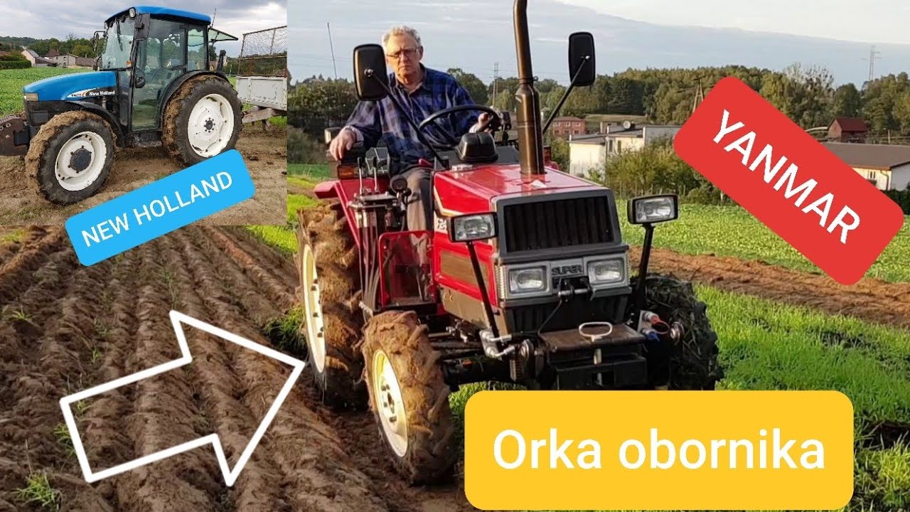 Dwa ciagniki YANMAR F24D i NEW HOLLAND TN70 wywóz i orka obornika na poplonie pług obrotowy REGENT