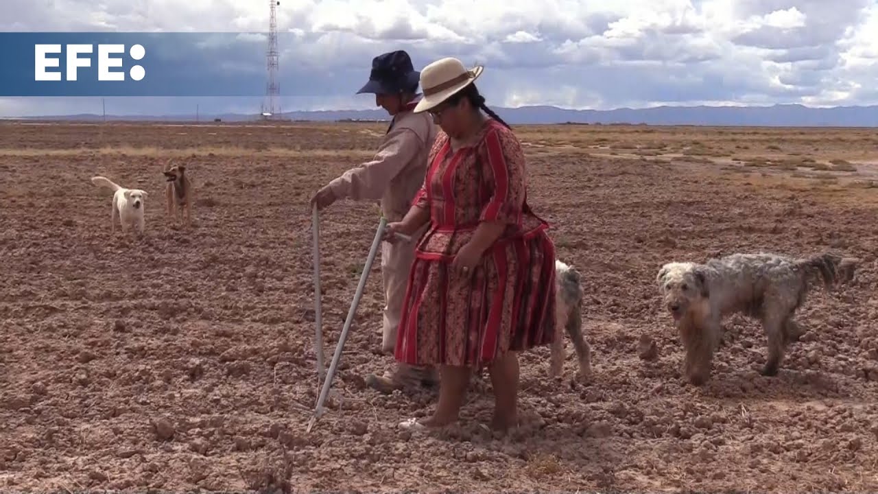Trigidia Jiménez: La visionaria boliviana que revoluciona con la cañahua, desde el campo hasta la NA