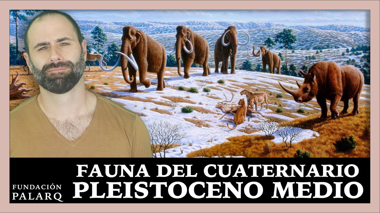 Fauna del Cuaternario: Pleistoceno Medio