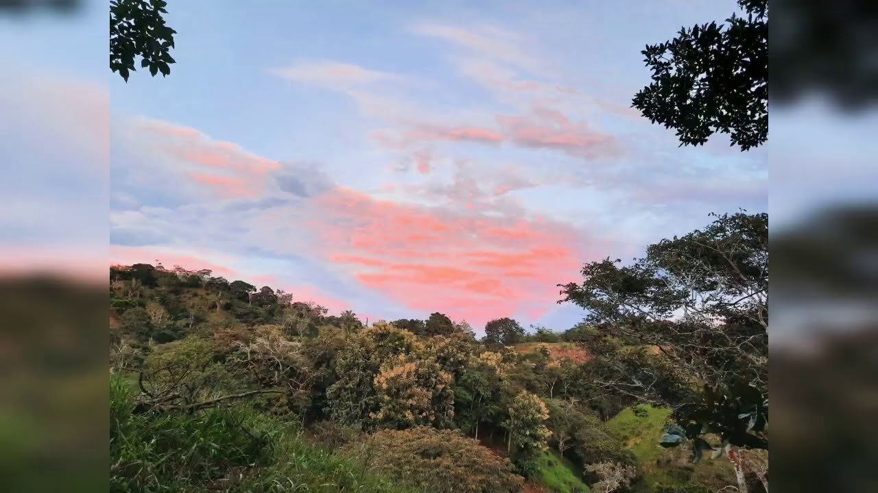 PANAMÁ, En los campos