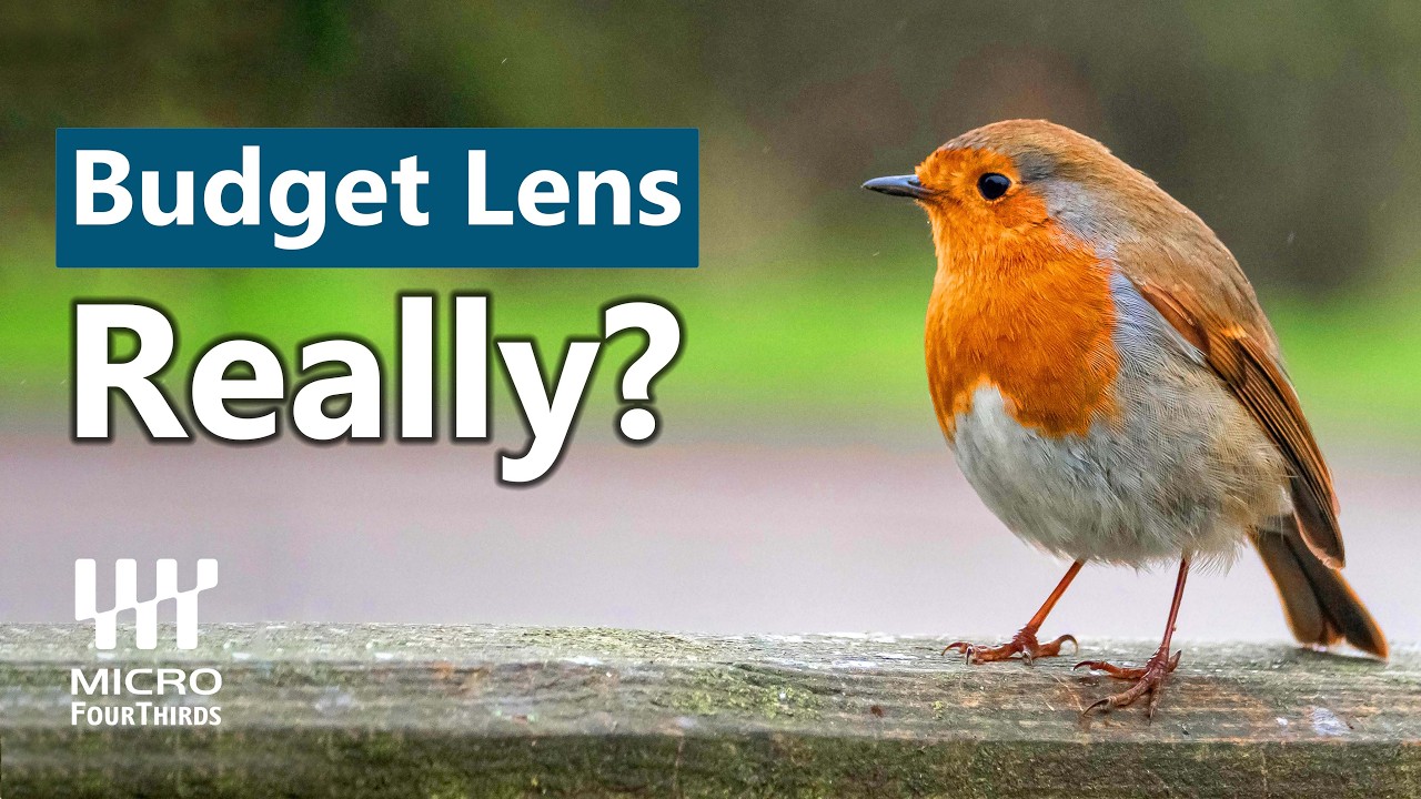 Wildlife photography and the OM1 Mark ii