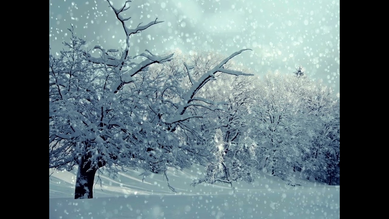   A Snowy Dance ❄️ / 21 Key Kalimba Improv by Suliko Chuiko 