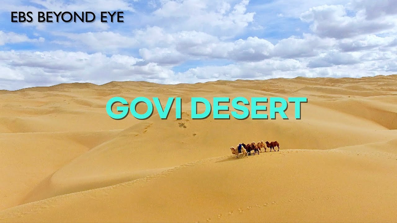 Govi Desert, An Uninhabited Land | EBS Nature Documentary | EBS Docuprime [Return]