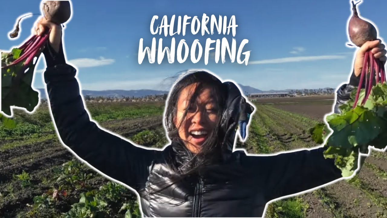WWOOF-USA Host Farm in CA