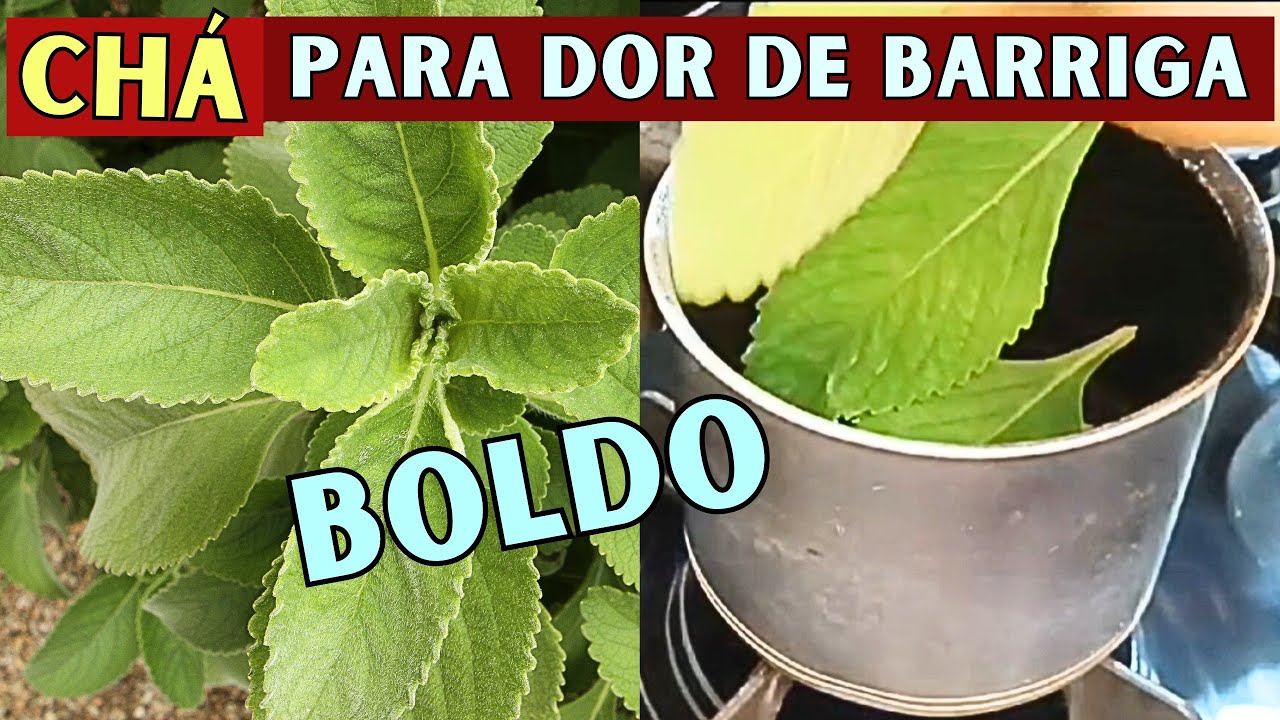 Como fazer Ch&aacute; de Boldo / Ch&aacute; para Dor de barriga