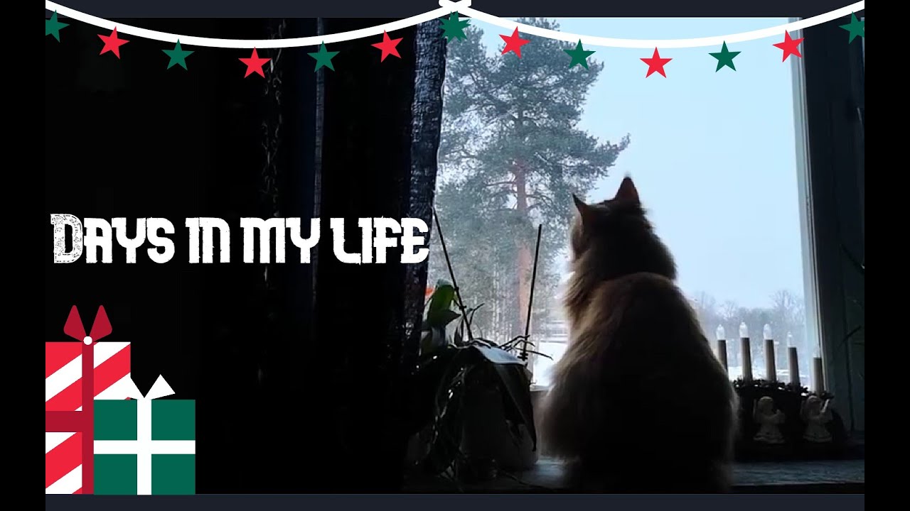 Swedish Christmas, new years and coming back home