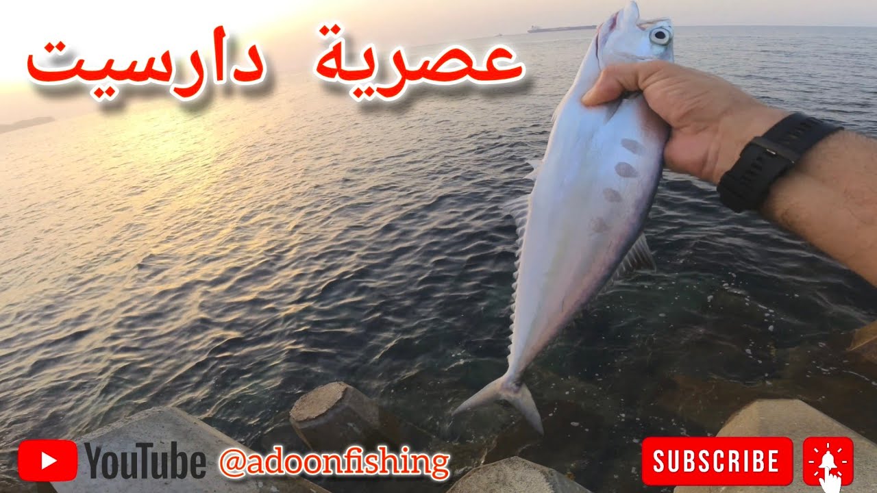 عصرية سريعة من شاطئ دارسيت عينت فايتات جميلة في وقت قصير