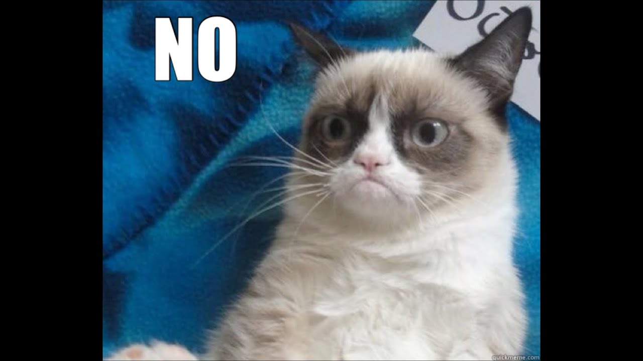 Funny Cat Fails with Sound Effects + Music