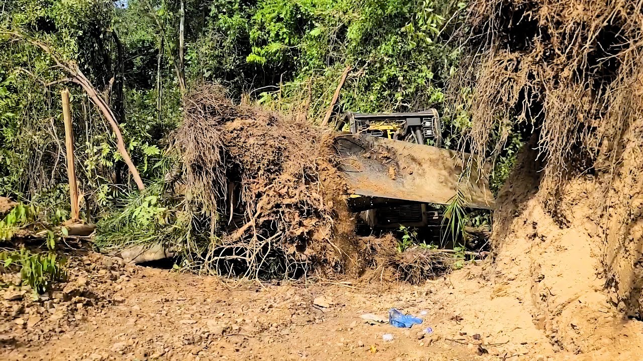 Extreme Bulldozer D6R XL Clearing Forests, Leveling Land, and Building Terraces for New Plantations