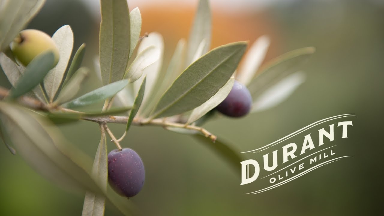Durant Olive Mill