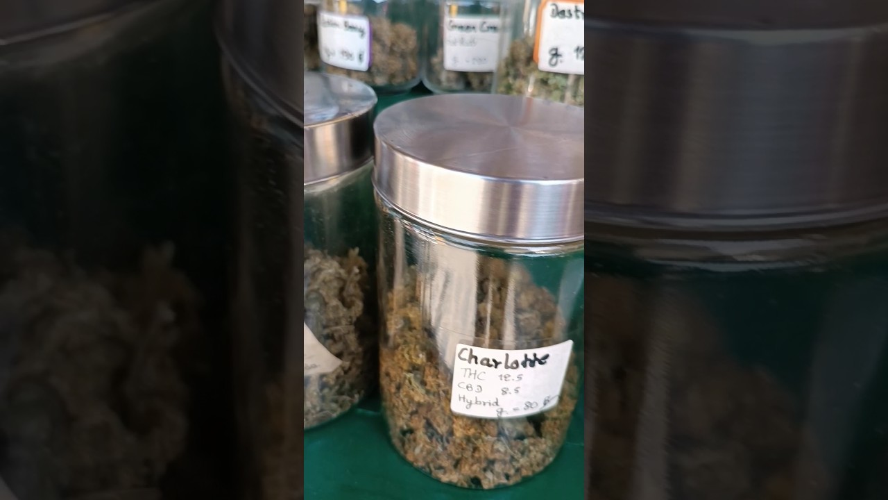 Cannabis Shop in Chiang Mai Northern Thailand 🇹🇭 #420 #travelwithpassion #marihuanalegal