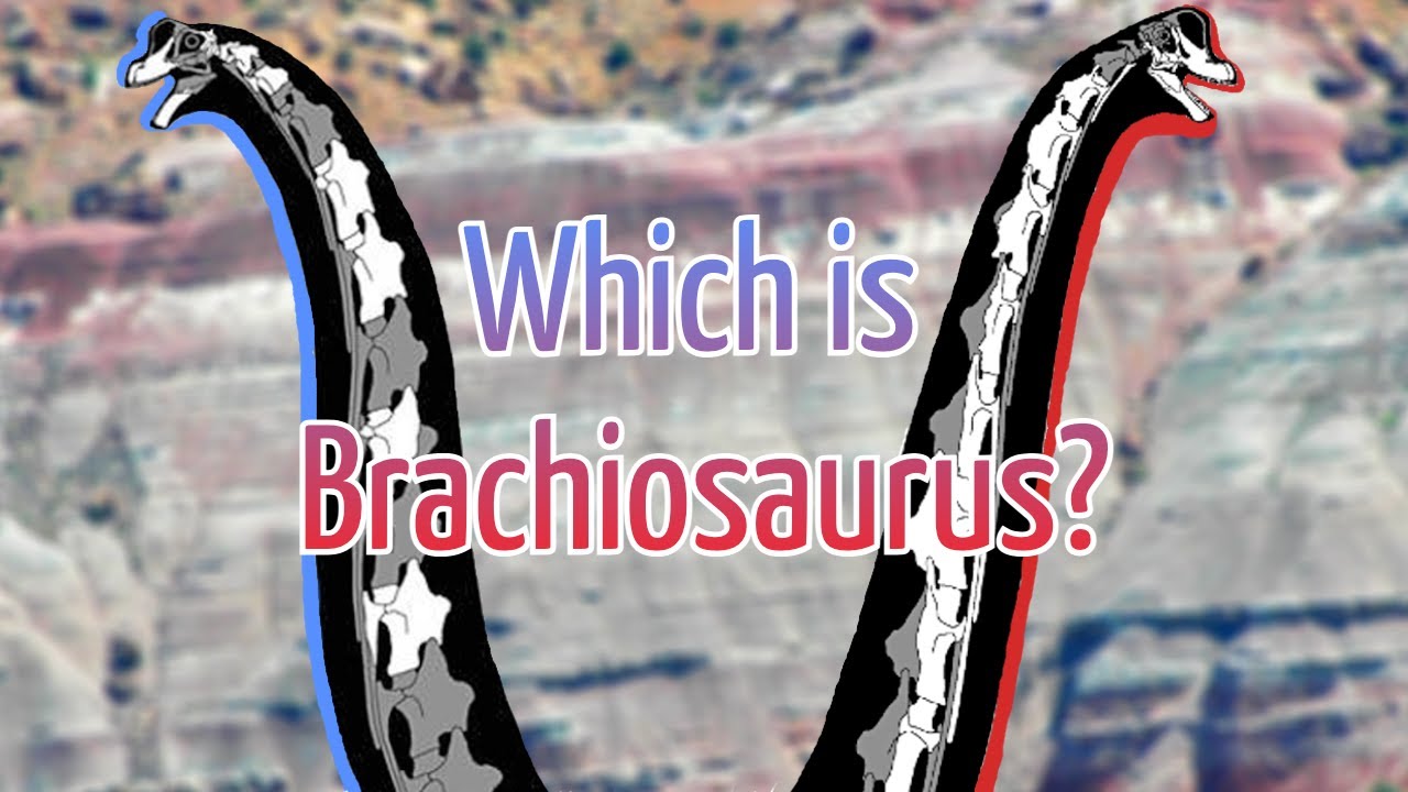 Brachiosaurus Is Not The Brachiosaurus You Think