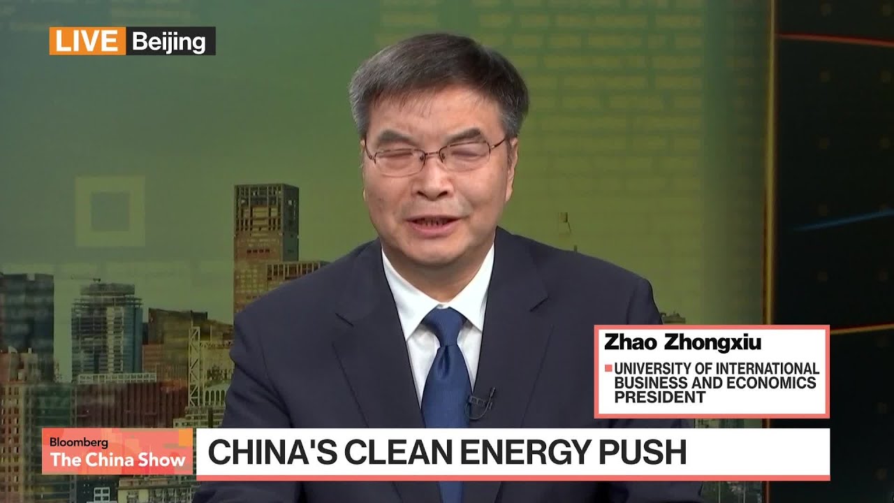 Overcapacity Claims Misleading, Top Chinese Scholar Says