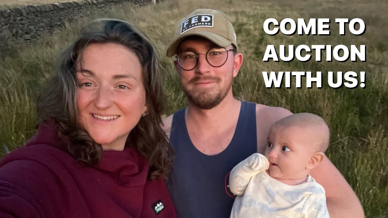 BUYING SHEEP AT THE AUCTION MARKET! And some Lamb problems! 