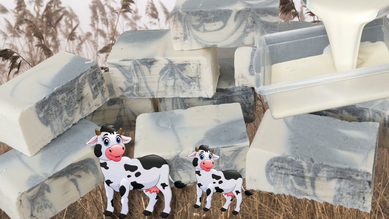 📌  Eu fiz mais de 2 kg de sabão mimosa o primeiro do YouTube 🐄 rentabilidade com criatividade 🐄🐄🐄