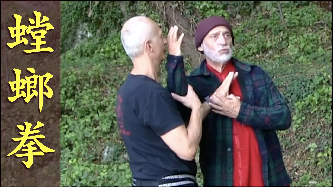 螳螂拳 Богомол твердый и мягкий