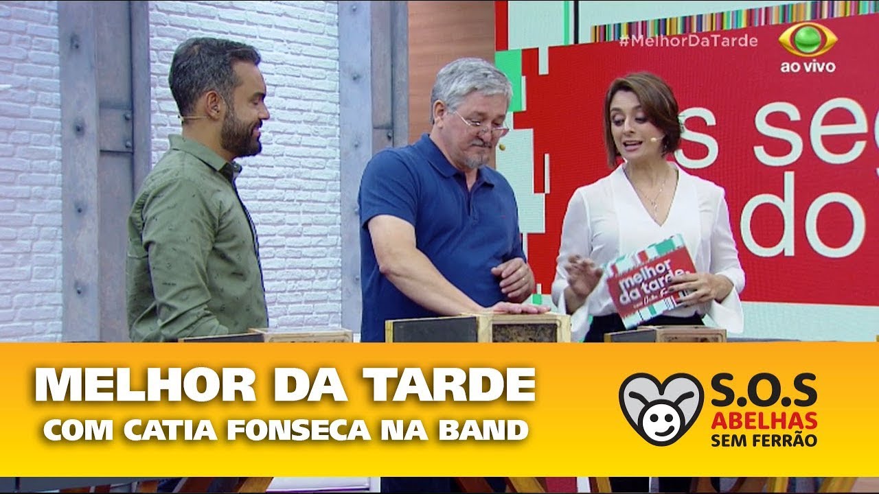 Melhor da Tarde com Catia Fonseca na Band - SOS Abelhas Sem Ferrão