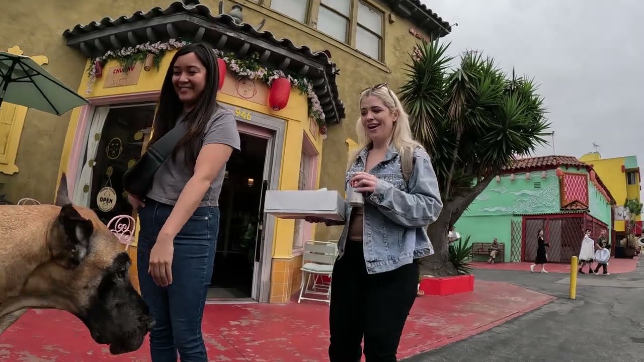Cash 2.0 Great Dane in Chinatown downtown Los Angeles 7