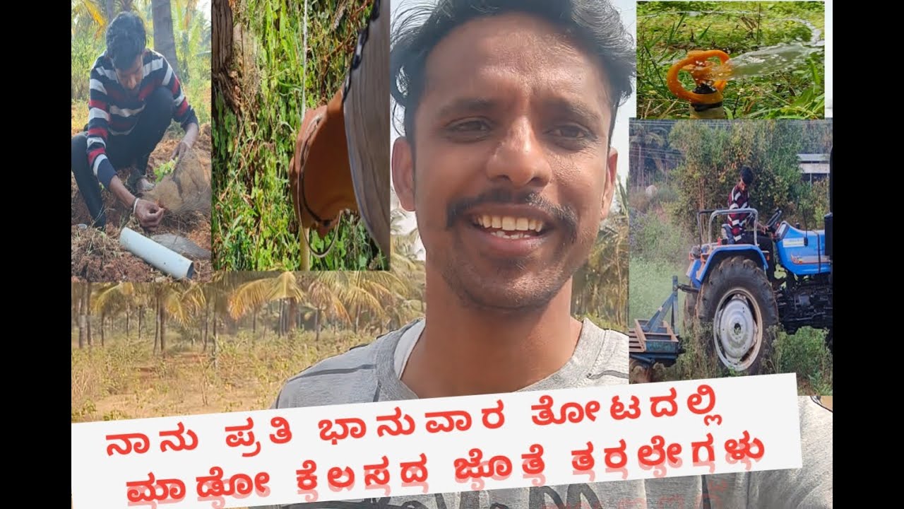 ನಮ್ಮ ತೋಟದಲ್ಲಿ ಕಳ್ಳರ ಕಾಟ #video #viralvideo #vlog