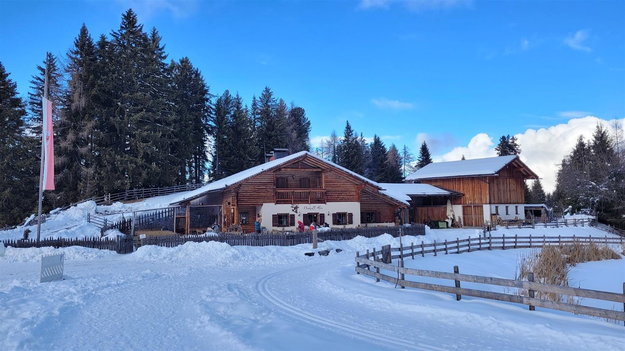 Neuhütt Alm Capanna Nuova - 07/02/2026