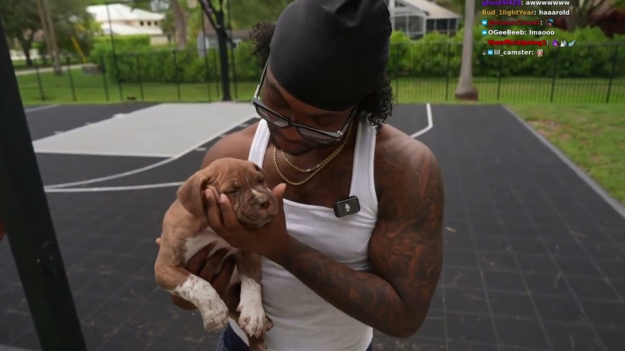 Rage’s Puppies See Outside For The First Time