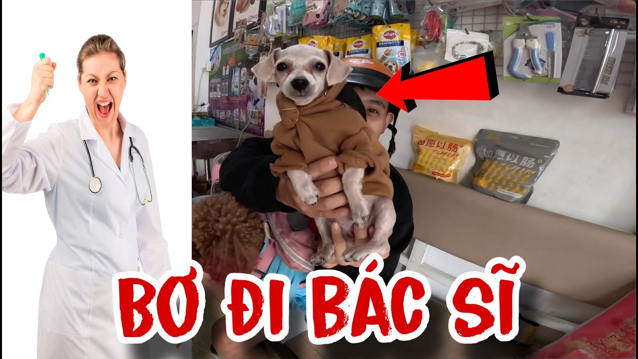 VÌ SAO BƠ BÁNH BÈO ĐI GẶP BÁC SĨ  | CHÚ CHÓ ĐI HAI CHÂN