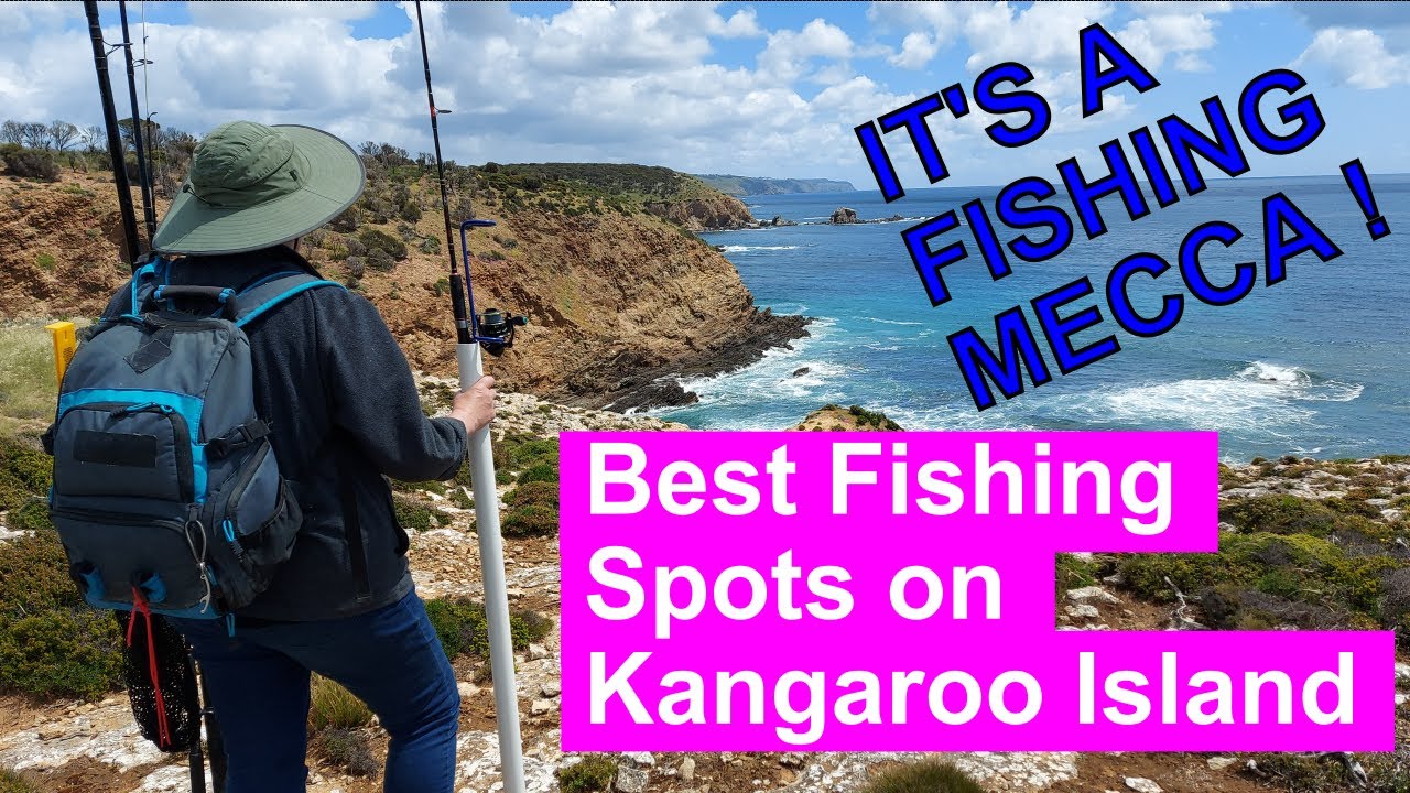 Best Kangaroo Island Fishing Spots | Catch Salmon, Flathead, Squid & More! | FishingSister Guide