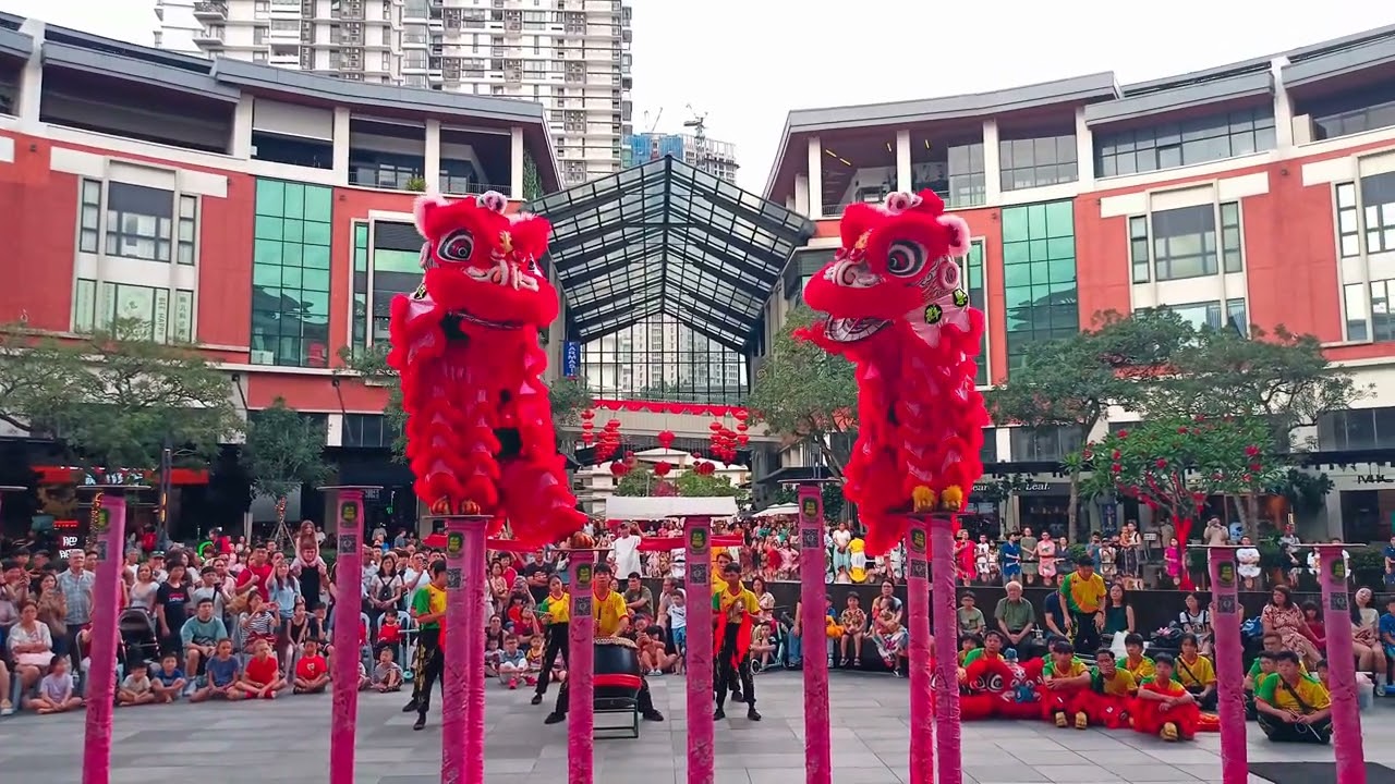 Lion Dance - A bold burst of rhythm and movement, alive with spirit and tradition. 🦁🥁