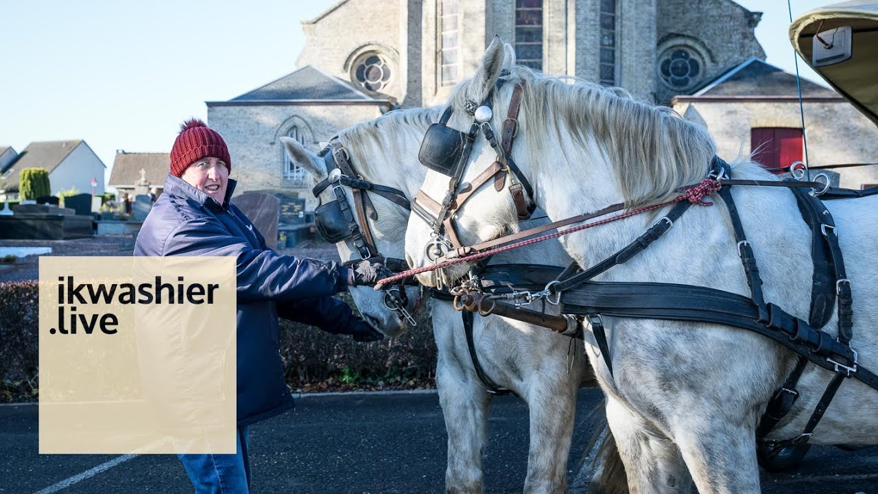 Bénédiction des chevaux, Trait Boulonnais, poneys et chiens - Fête de la Saint-Hubert à Merckeghem
