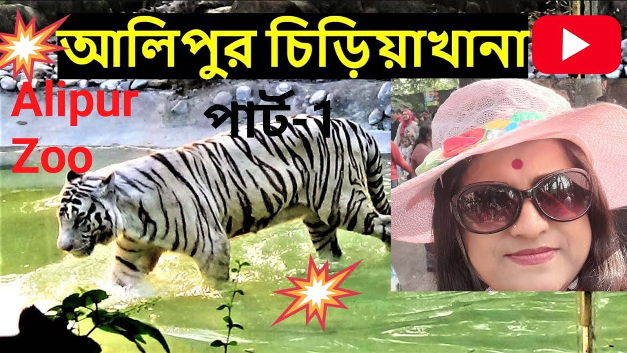 💥আলিপুর চিড়িয়াখানা(কোলকাতা)পার্ট-1.Alipur zoo. #zoo 