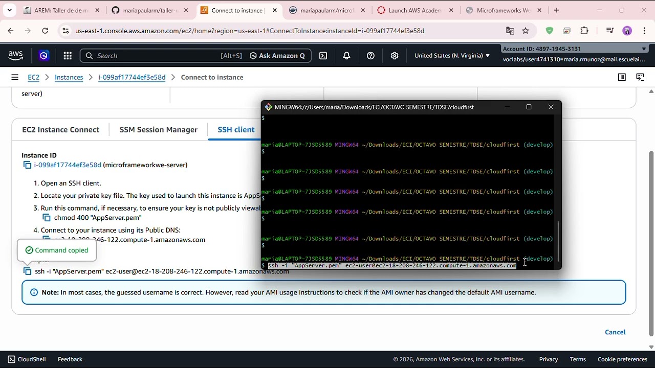 Web microframework with Docker and AWS